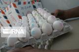 ایران بازار صادرات تخم‌مرغ را از دست داد
