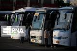 چند دستگاه اتوبوس به حمل و نقل زائران اختصاص یافت؟