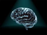 کشف پروتئینی در مغز که  دردرهای مزمن را زیاد می کند!