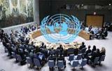 ابراز نگرانی شورای امنیت از  وخامت اوضاع کردهای سوریه