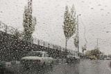 بارش باران در 8  استان