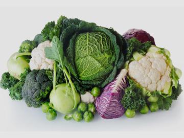 سبزیجات خانواده کلم ها و فواید سرشار آنها