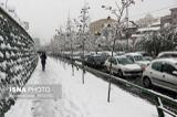 بارش برف سنگین راه ارتباطی 240 روستا را بست