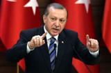 اردوغان: تا سوریها نخواهند از آنجا نمی رویم!