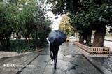 هوای ایران  در پایان هفته بارانی می شود