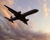 ممنوعیت پرواز شرکت‌های هواپیمایی هند  برفراز بخشی از خاورمیانه