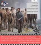۱۰ فیلم جنجالی سی و هشتمین جشنواره فیلم فجر / فیلم «روز بلوا»
