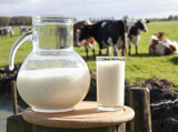 اگر هر روز شیر ارگانیک بنوشید، چه اتفاقی می افتد؟!