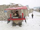 سرما در پاکستان و افغانستان چند کشته داد؟