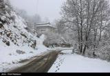 بارش برف در جاده های 6 استان کشور