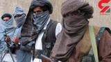 طالبان 4 الاغ را برای تغذیه تیرباران کردند!