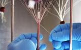 ساخت رگ های خونی مصنوعی توسط دانشمندان فرانسوی