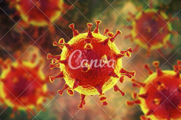 علائم کرونا (coronavirus) چیست و چگونه باید آن را درمان می کنید؟