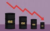 بازار نفت بعد از سقوط شدید امروز آرام گرفت!