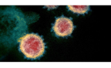 مکانیزم ویروس کرونا در بدن انسان و درگیری با سلول ها