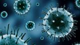 تاثیر موفق طب سنتی بر روی کنترل گسترش  ویروس کرونا