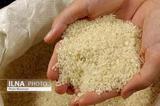 آیا برنج گران می شود؟
