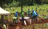 دفن قربانیان ویروس کرونا در سراسر جهان/سری اول تصاویر