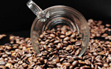 درباره قهوه ارگانیک بیشتر بدانید