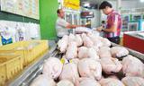 میزان کاهش مصرف مرغ در کشور