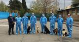 سگ‌ها در ایران آموزش کرونایابی می بینند/تشخیص 700 فرد آلوده در یک ساعت!