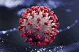 کشف جدید محققان چینی درباره ویروس کرونا