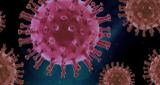 بدترین رفتار کروناویروس چیست؟