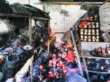 وقوع آتش سوزی  در یک مجتمع تجاری در خیابان سعدی