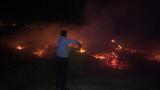 یک پارک جنگلی در بوشهر آتش گرفت