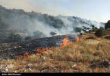 وقوع ۲۴۰ مورد آتش‌سوزی جنگل در ۱۱ استان کشور