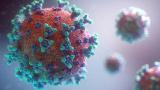 کروناویروس با   ابزار ایمنی‌درمانی سرطان از بین می‌رود
