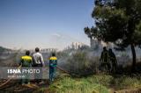 پلیس: آتش سوزی‌ بوستان‌های تهران عمدی بود