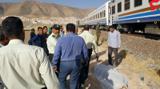 قطار شیراز یک چوپان را کشت+عکس