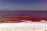 پدیده نادر در دریاچه نمک قم/رنگ دریاچه قرمز شد!