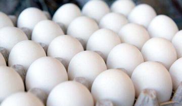 نرخ مصوب تخم مرغ  اعلام شد