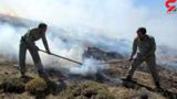 ۲۸۰ هکتار از جنگل های زنجان در آتش سوخت
