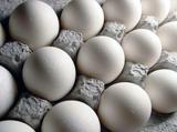 صادرات تخم مرغ متوقف شد/قیمت هر شانه تخم مرغ اعلام شد