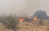 آتش‌سوزی مجدد در «خائیز»  + فیلم