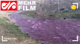 قرمز شدن آب رودخانه در کرمان