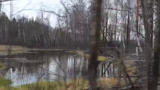 ادامه آتش سوزی‌های گسترده در جنگل‌های اوکراین