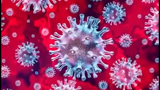 بررسی احتمال مرگ با ابتلا به ویروس کرونا